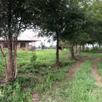 3-283-متر-خانه-محوطه-جنگلی