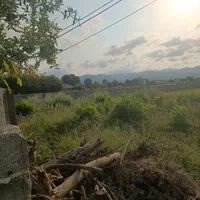 زمین مسکونی به مساحت ۲۵۰متر سند تک برگ|فروش زمین و ملک کلنگی|رضوانشهر, |دیوار