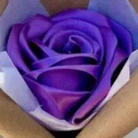 گل با روبان|گل مصنوعی|یاسوج, |دیوار