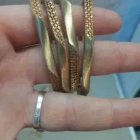 بدلیجات