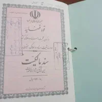 زمین-150-متری-گردخون-صد-میلیون