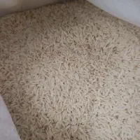 برنج دمسیاه کلات