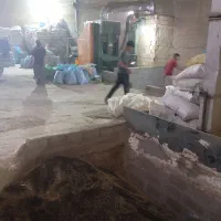 خریدار سیاهدانه و بوجاری