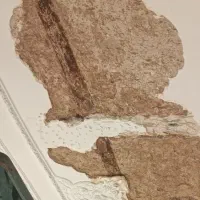 لکه گیری گچکاری