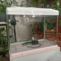 اکواریومk580شرکتی دلسا