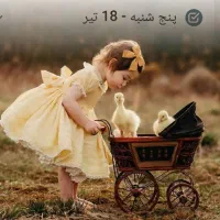 قبوله واگذاری انواع پرنده بصورت رایگان