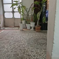 پنج گل دو متری