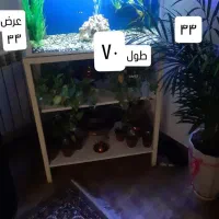 آکواریوم سالم سلامت