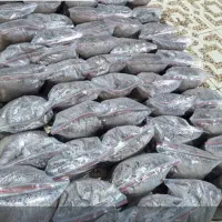 خاک ترکیبی معجزه