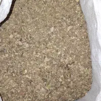 خروس اصیل گلین، کود رایگان|حیوانات مزرعه|وحیدیه, |دیوار