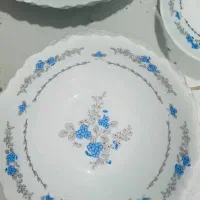 ارکوپال امارات 12نفره