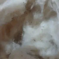 پنبه اعلا ۲۰کیلو