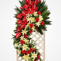 گلفروشی آنلاین وحضوری نیهان|گل و گیاه طبیعی|پاکدشت, پاکدشت (مامازند)|دیوار