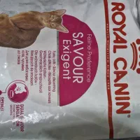 فروش ویژه غذای خشک سگ و گربه رویال|لوازم جانبی حیوانات|تهران, هوانیروز|دیوار