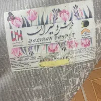 فرش ۶متری دوتا باهم ۵ونیم|فرش|بهشهر, |دیوار