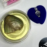 کنسرومروارید عشق  بهترین هدیه فقط۲۳۰ هزار|بدلیجات|سنندج, |دیوار