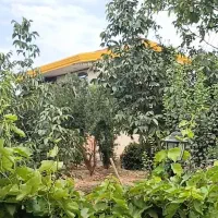 سرایدار باغ