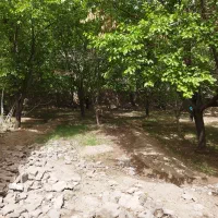 خانه باغ به فروش میرسد|فروش خانه و ویلا|گلباف, |دیوار