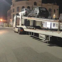 اسقاطی. سالم.سوخته .تصادفی