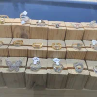 بدلیجات رنگ ثابت|بدلیجات|کرمان, |دیوار