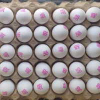 پخش و توزیع مستقیم تخم مرغ