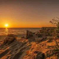 گروهای اگهی دیوار امارات می خواهم