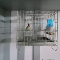 سهره نر