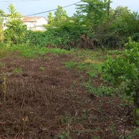 ۲۰۰ متر زمین مسکونی|فروش زمین و ملک کلنگی|بابکان, |دیوار