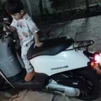 موتور پاکشتی هوندا   تودی( هوندای روزژاپن)