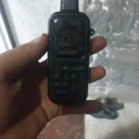 قلیون شارجی