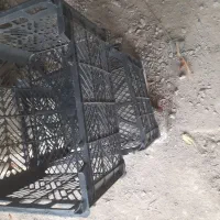 سبد ۸ و ۱۶ کیلویی