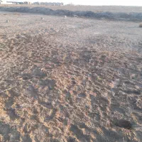 فروش زمین ۲۳۰ متری در سعدی جاده ی ۳۰متری|فروش زمین و ملک کلنگی|شادگان, |دیوار