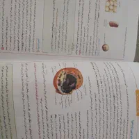 کتاب تست تجربی|کتاب و مجله آموزشی|تهران, باغ فیض|دیوار