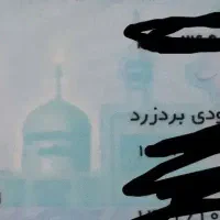 مدارک رضا محمودی