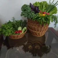 سبد های دست بافت کاربردی|صنایع دستی و سایر لوازم تزئینی|دوگنبدان, |دیوار