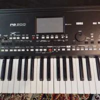 KORG Pa300