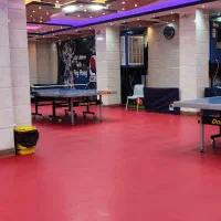 آموزش پینگ پنگ