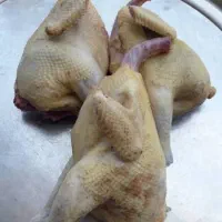 مرغ محلی230|خوردنی و آشامیدنی|رشت, بازار|دیوار