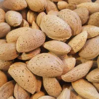 فروش بادام سنگی آبی|خوردنی و آشامیدنی|شیراز, دلگشا|دیوار