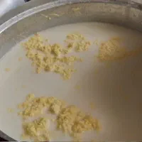 کره محلی گاوی