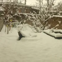 زمین چوپاراستان