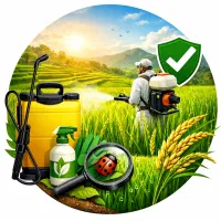 پیمانکار سمپاشی پشت تراکتوری با تراکتور ۳۹۹