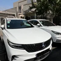 دیگنیتی پرستیژ درحد /۱۴۰۴