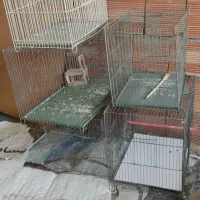 ۵عدد قفس صحیح و سالم معاوضه با کبوتر هرچی|لوازم جانبی حیوانات|اردبیل, |دیوار