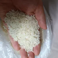 برنج هاشمی اعلا