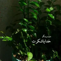 فروش ی قطعه زمین