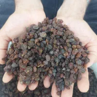 انواع کشمش گله آفتابی درگز و کاشمر|خوردنی و آشامیدنی|مشهد, نوید|دیوار