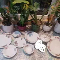چینی گل سرخ