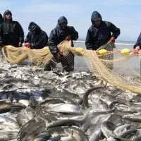 نیروبرای دریا