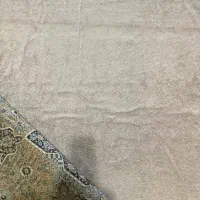 موکت پالاز